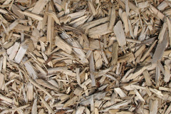 biomass boilers Plymtree